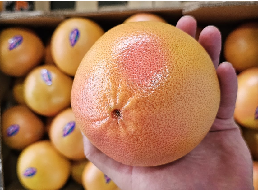 Грейпфрут оптом из Турции - SAM