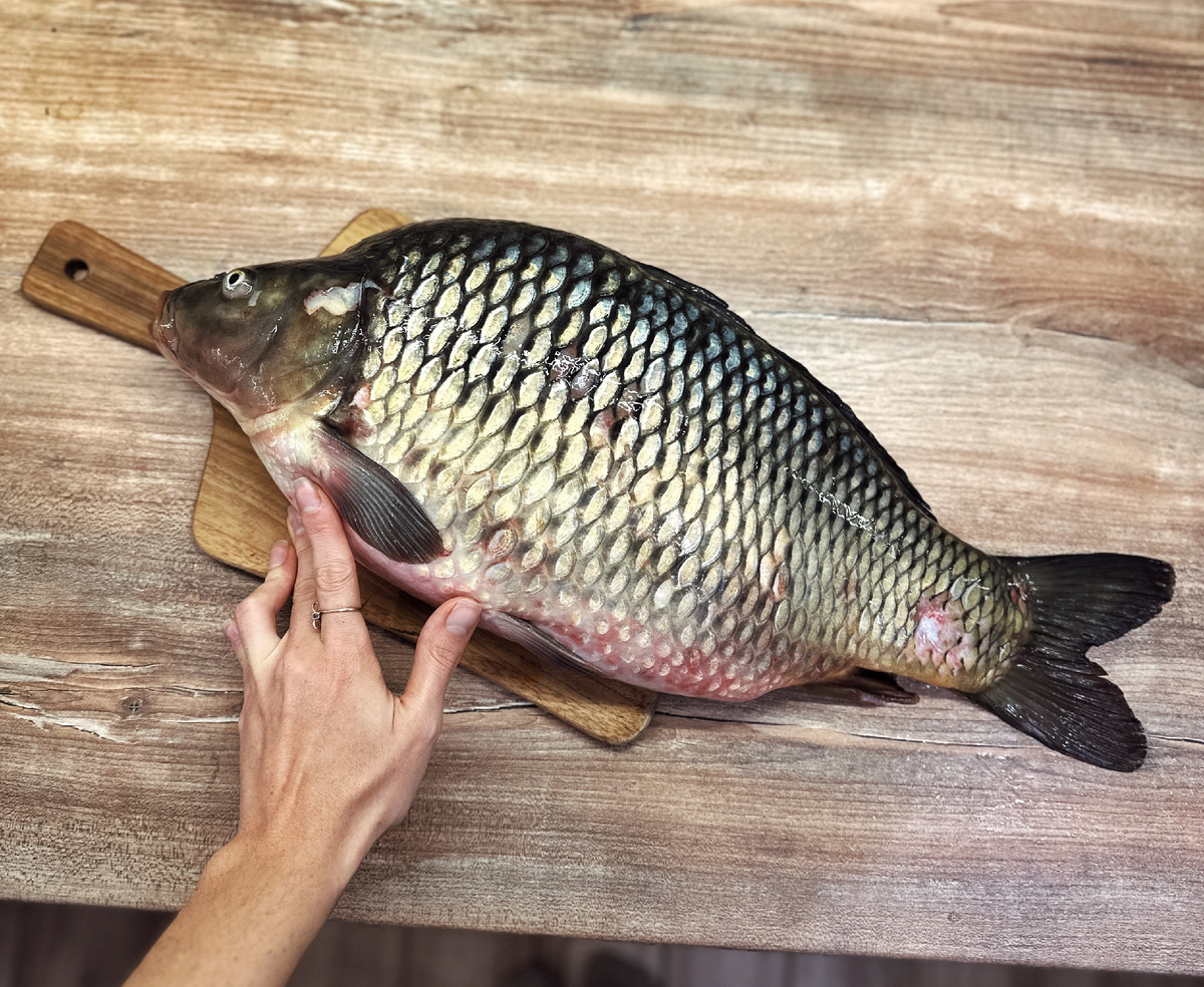 Купила рыбу, потому что она красивая