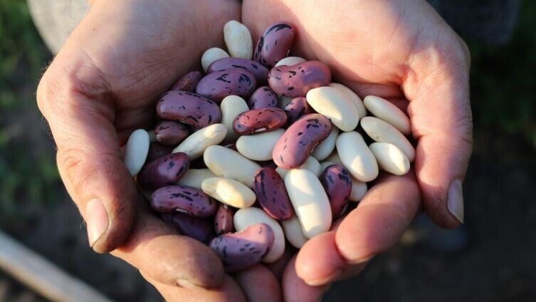     Фото: pixabay.com