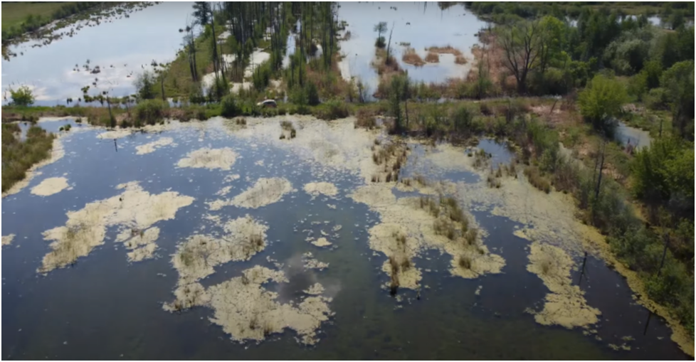 Фотография взята из архива компании «Система»