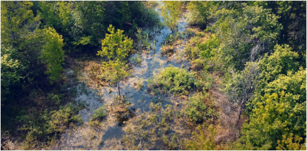 Фотография взята из архива компании «Система»