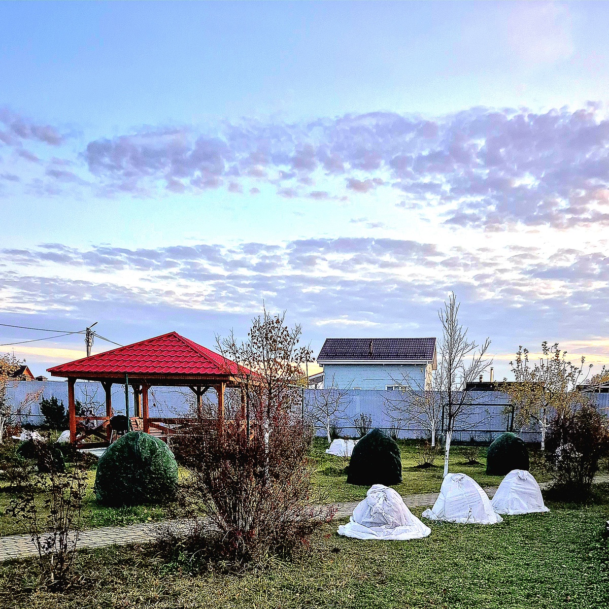 Сад уже ждет зимний сезон😊