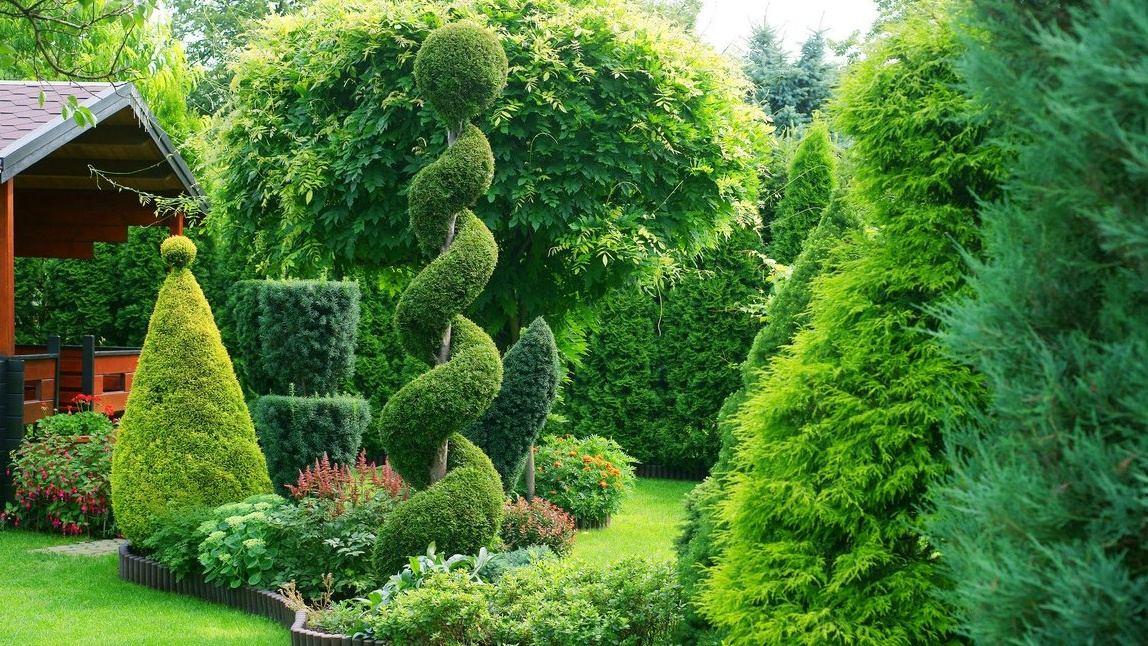 Ландшафтная композиция площадью 20 кв.м с разнообразными хвойными породами