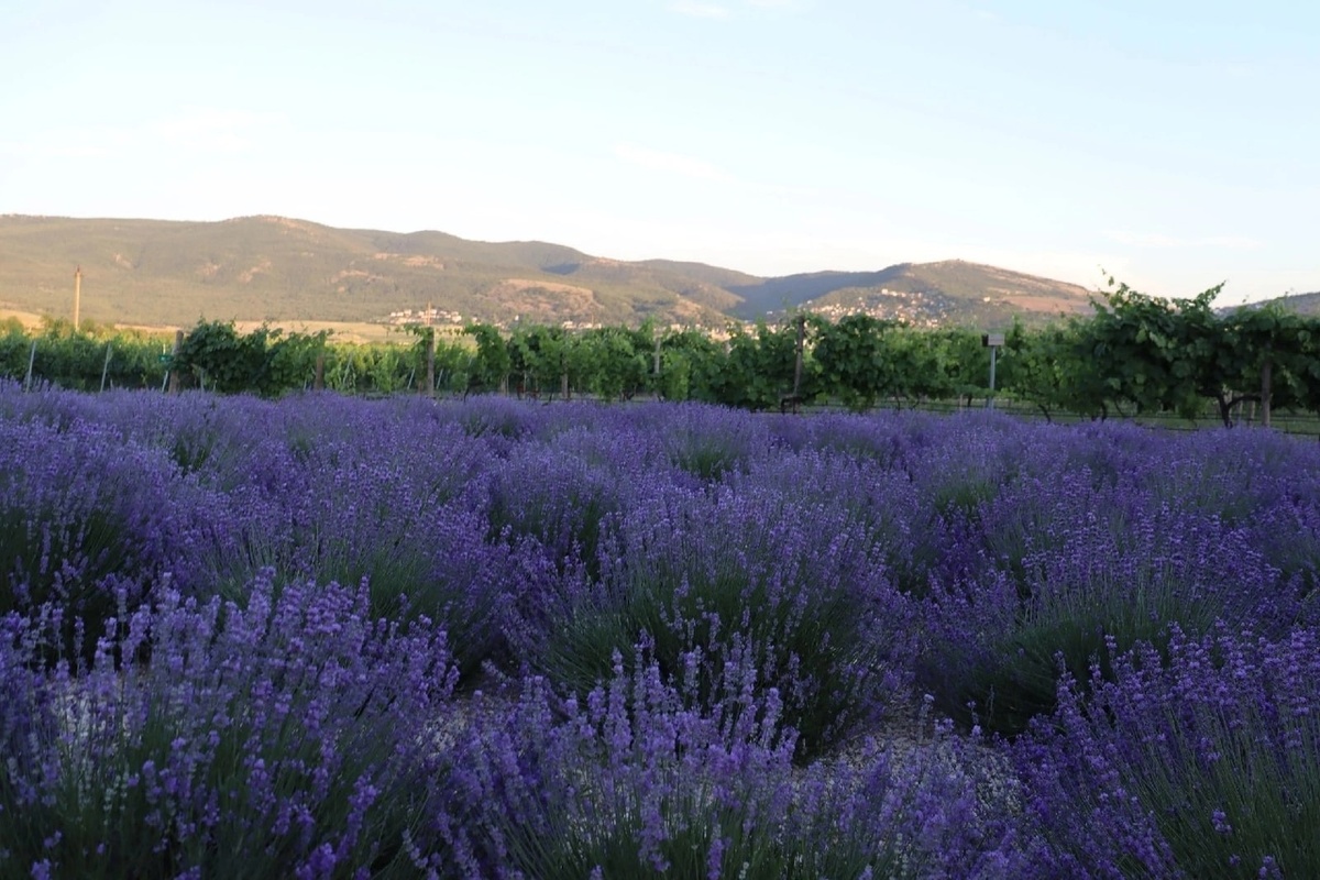 Ориби Каммпирр - Пример костюма в локации! © Copyright: Ориби Каммпирр