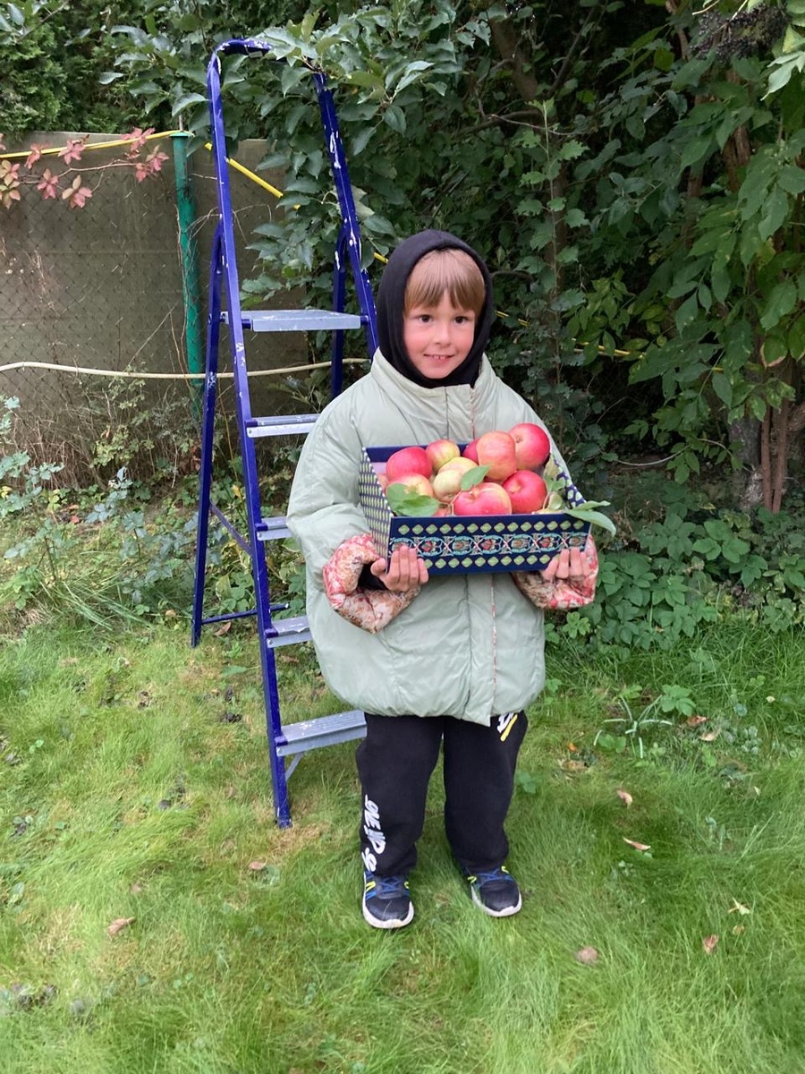 Фото автора. Внук на сборе урожая. Они прилетели из Магадана, а в Питере резко похолодало - выдала свою куртку, чтобы не замёрз)))