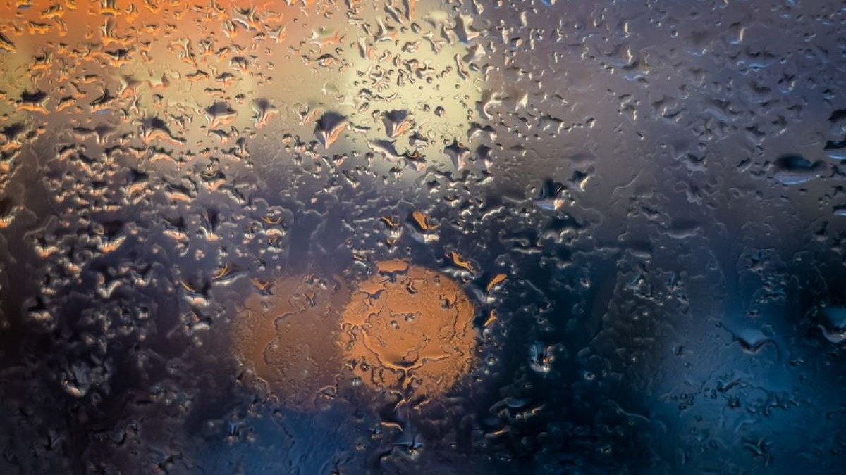     Источник: 1MI