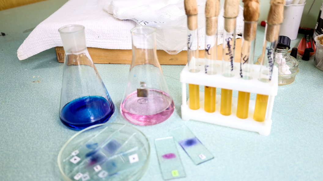    Фото: Elena Mayorova/Global Look Press