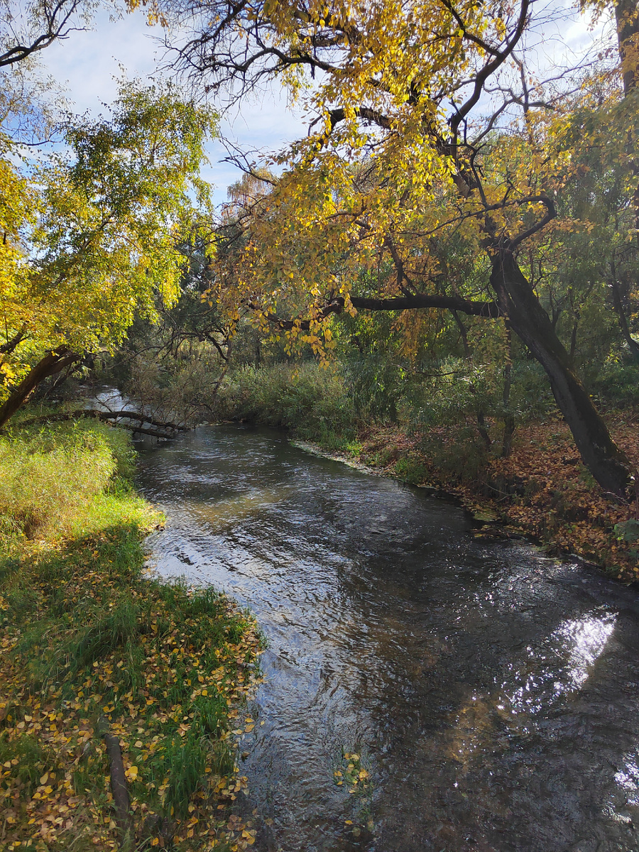 Картина маслом - шутка - фото автора канала