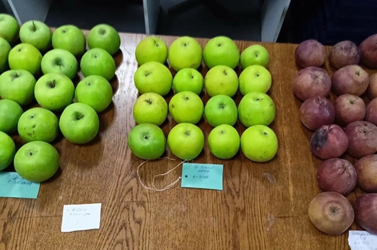    Плодотворно.