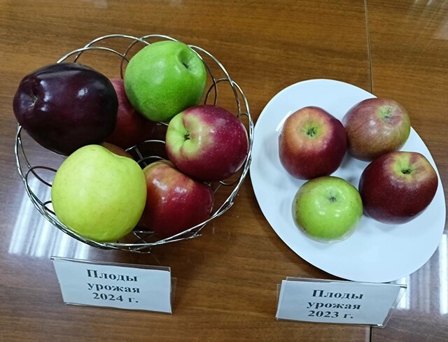    Фото: предоставлено академиком Гудковским