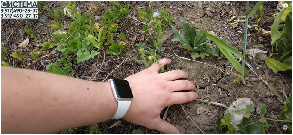 Фотография взята из архива компании «Система»