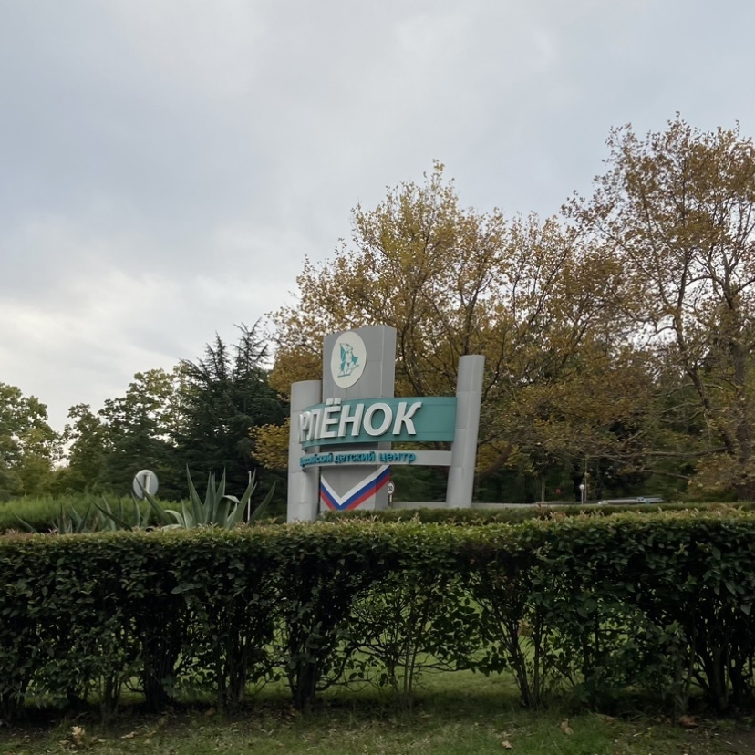 Прям напротив этого лагеря и остановились