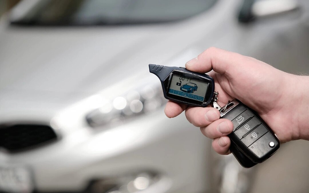 Фото: Shutterstock