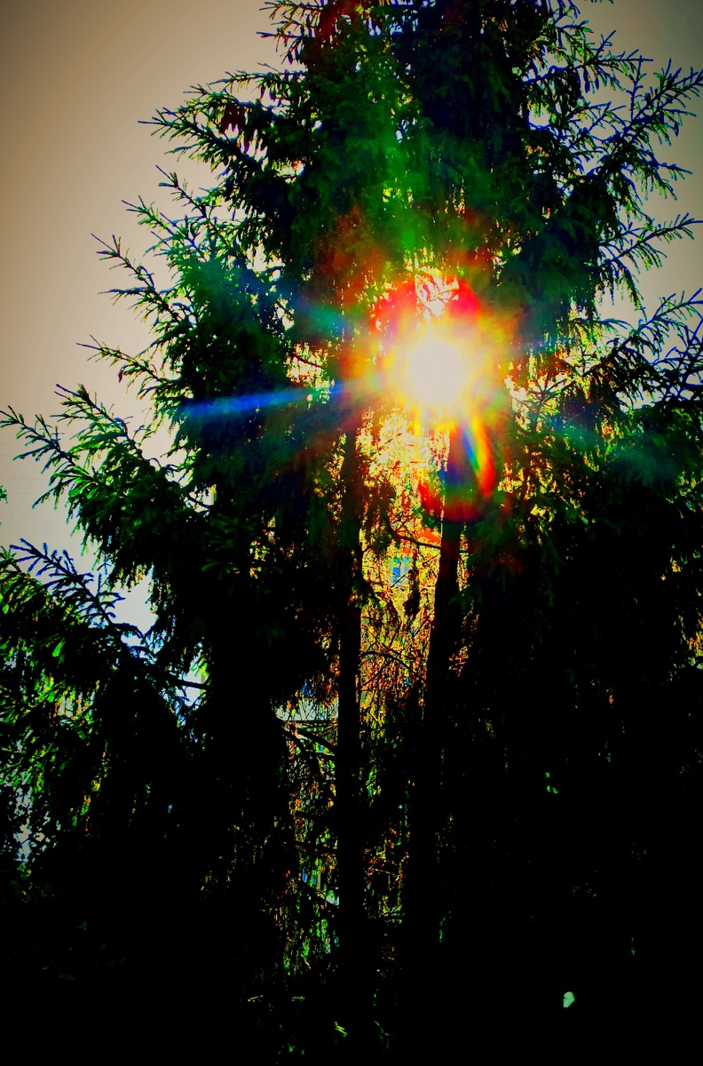 Фото автора статьи 