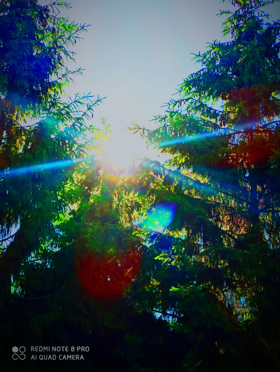 Фото автора статьи 