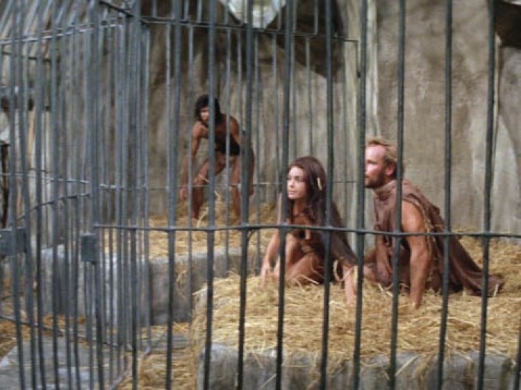 Картинка из открытых источников.