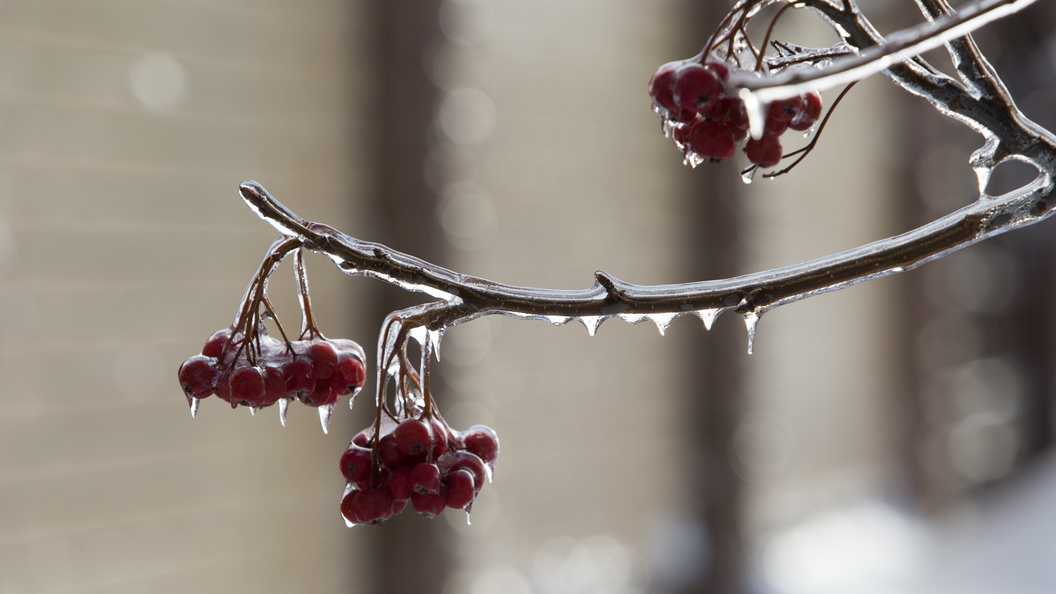    Nikolay Gyngazov/Global Look Press