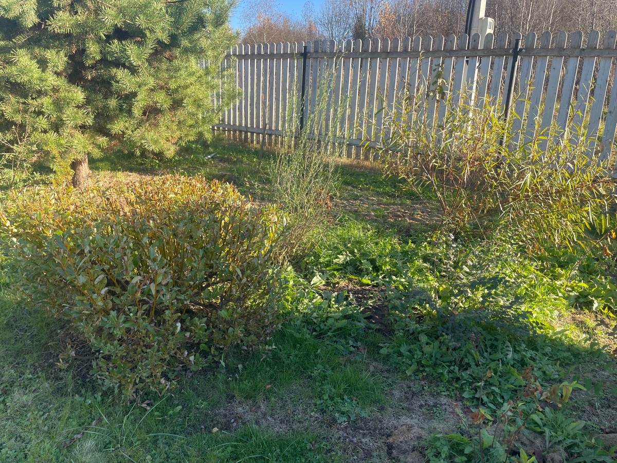 Одни из первых, названия потеряны.