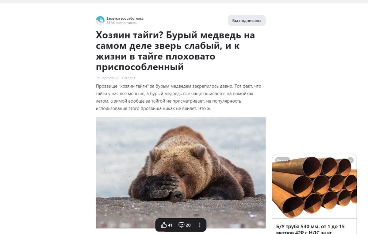 Скриншот той самой статьи