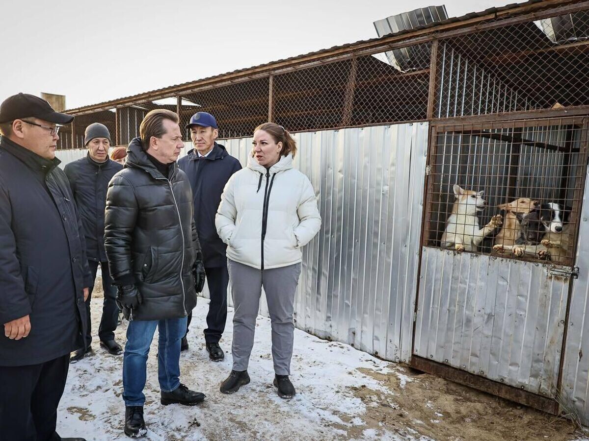    Владимир Бурматов встретился с зоозащитниками© Фото : Республика Саха (Якутия)/Telegram