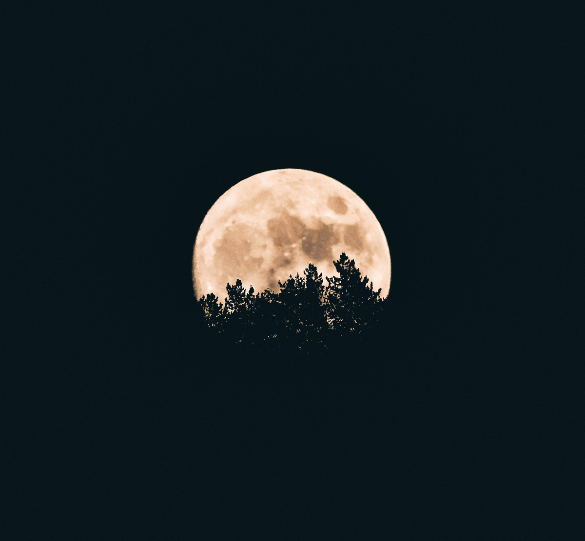 https://unsplash.com/s/photos/night