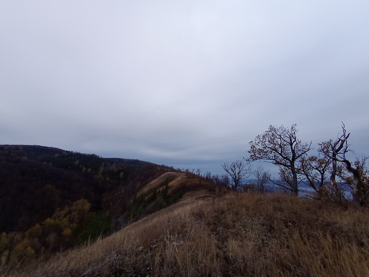 Пасмурное октябрьское утро в Жигулёвских горах. Самарская область. Фото автора. 