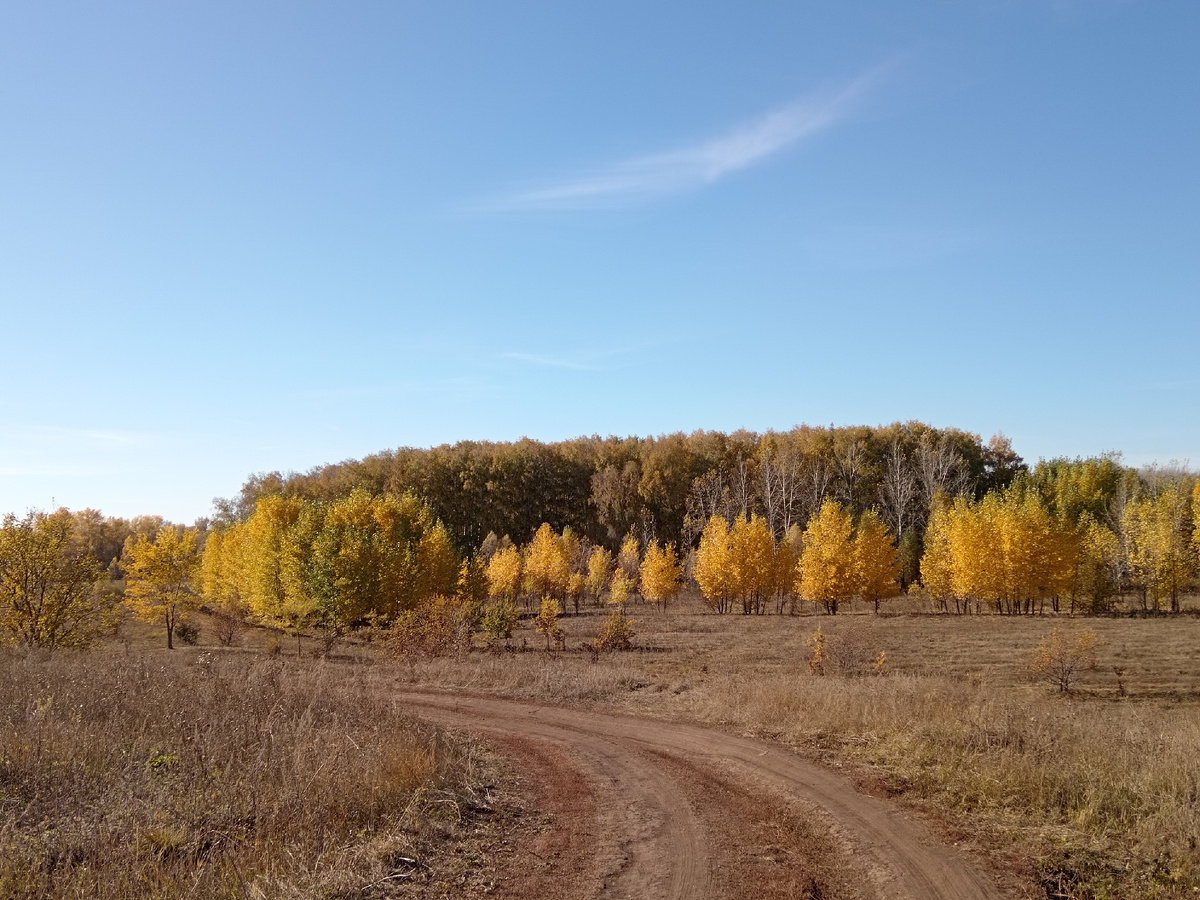 Окрестности посёлка Подбельск Похвистневского района Самарской области. Места моих пробежек. Фото автора. 