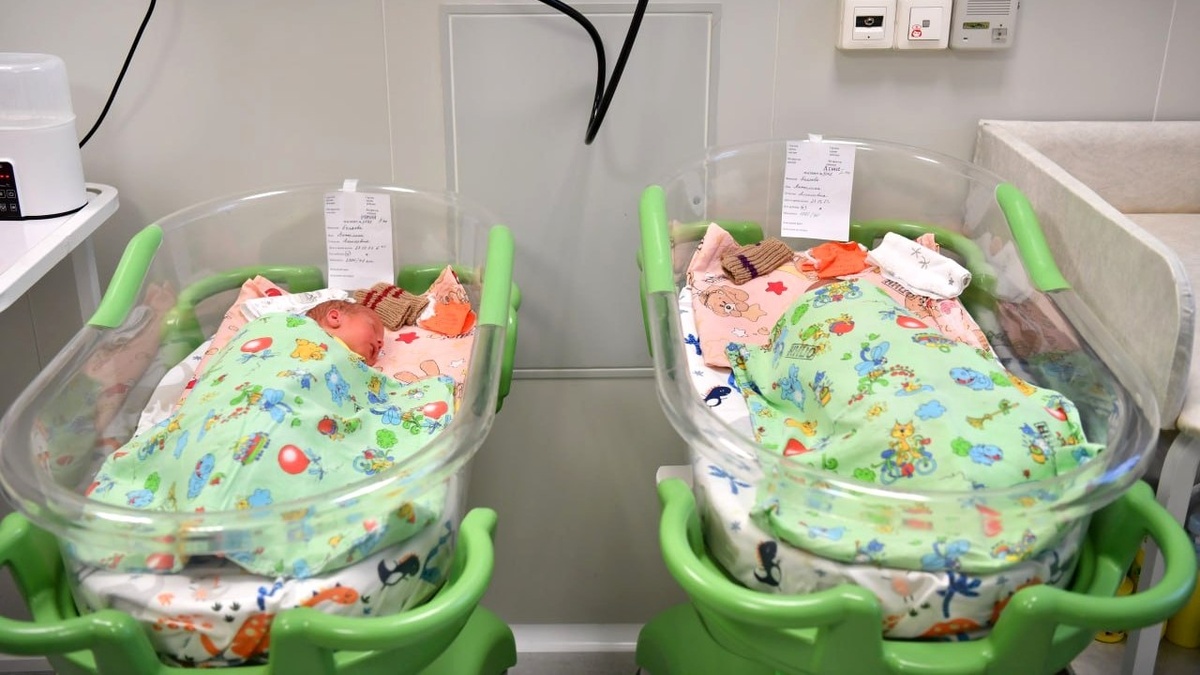    В Саратовской области срок получения маткапитала продлят до 2030 годаНовости Саратова и области – Сетевое издание «Репортер64»