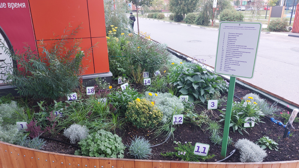 Клумба у ТЦ