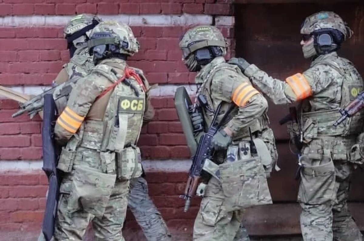    Жителя Удмуртии задержали за оправдание теракта на Керченском проливе