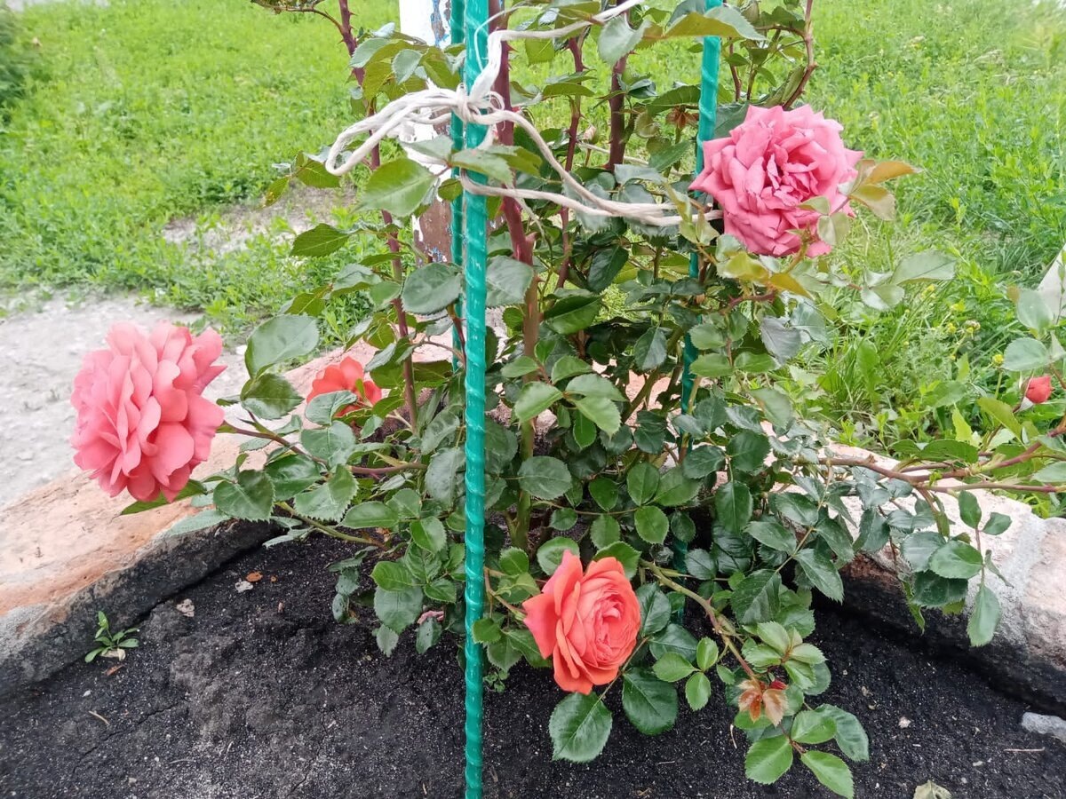 фото Наталии