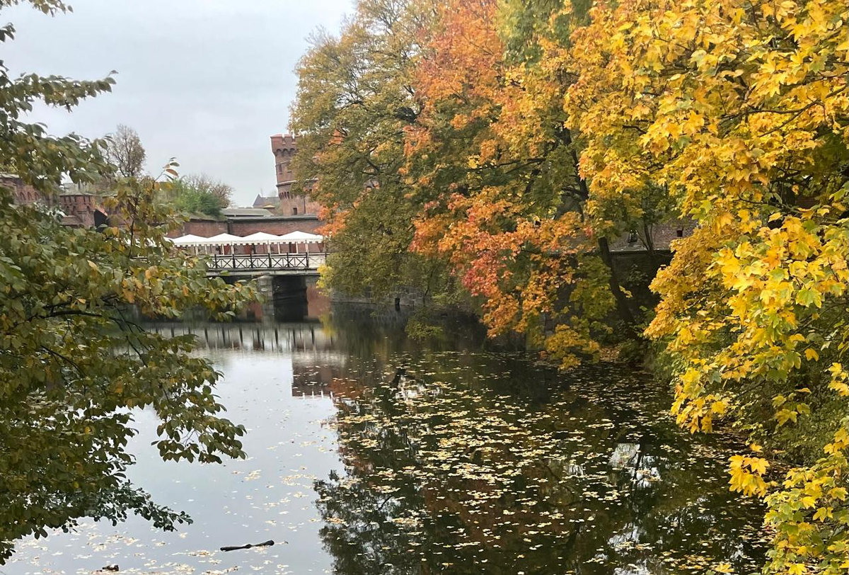 Фото предоставлено Кафе-бар "Премьер министр"