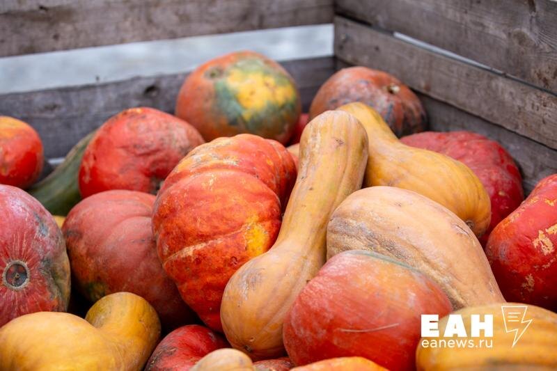    ЕАН / Попасть в зоопарк Екатеринбурга можно будет за тыкву