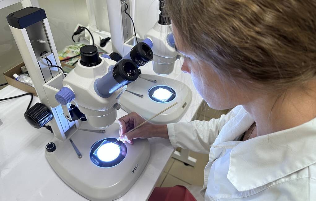    Изображение ИА «ТАСС» 