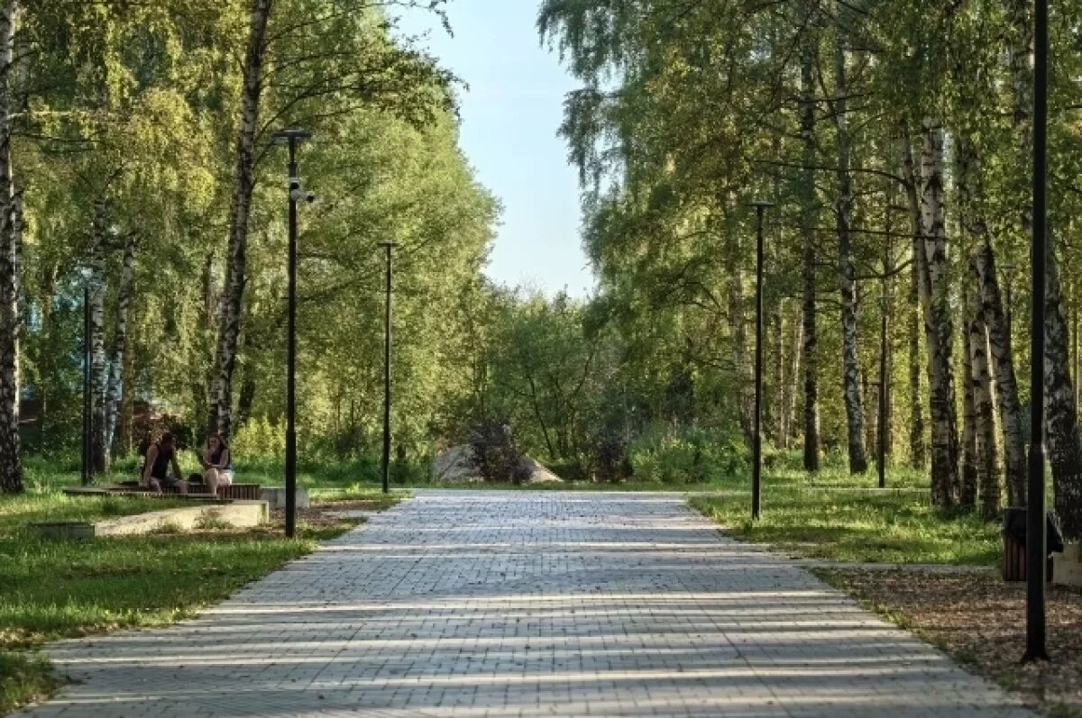    В Ярославле благоустройство дворов и парков выполнено меньше чем на треть