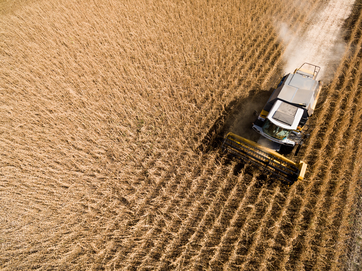 Компания "СОКО" проводит многочисленные исследования по оценке применения  биологических препаратов и агрохимических средств отечественных и зарубежных производителей
