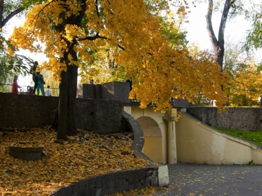    осень в парке Горького в Ростове // фото: foto-ram.ru