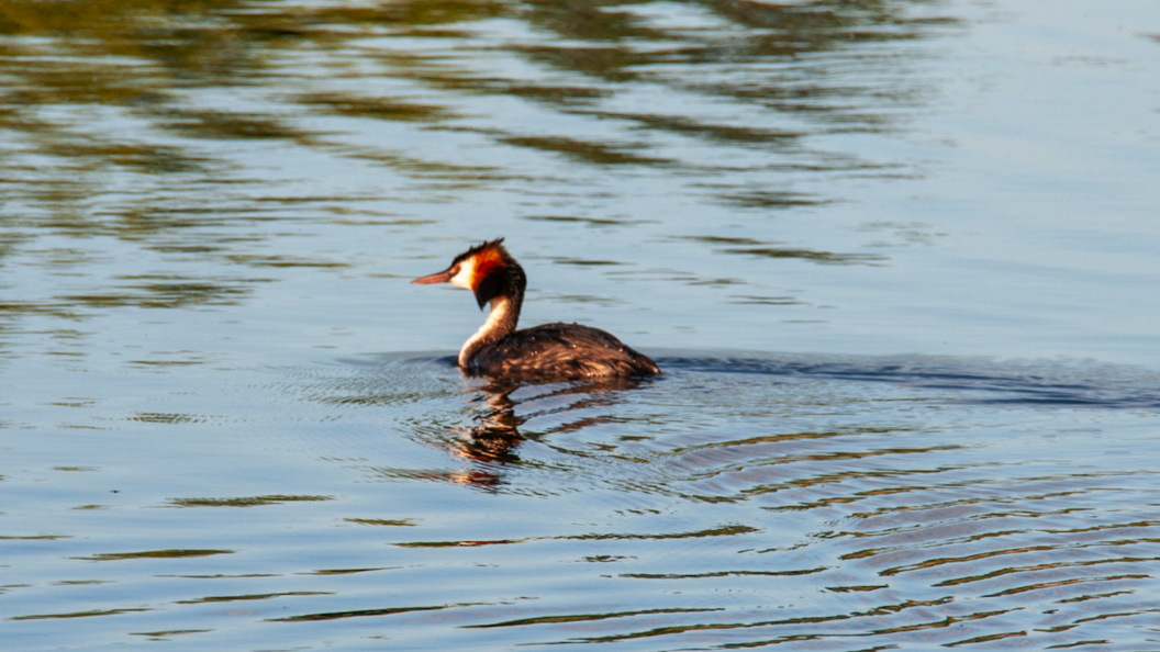    Фото: Светлана Возмилова/Globallookpress.