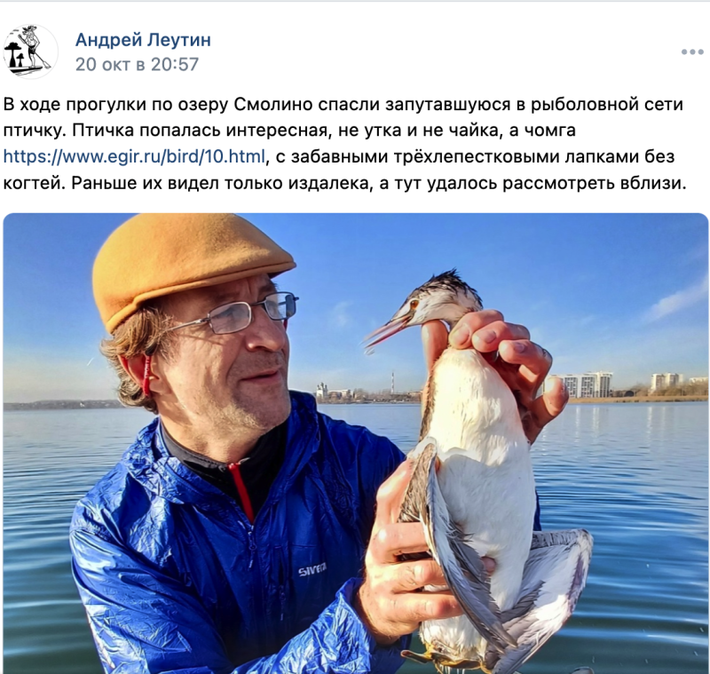    Фото: страница ВКонтакте Андрея Леутина.