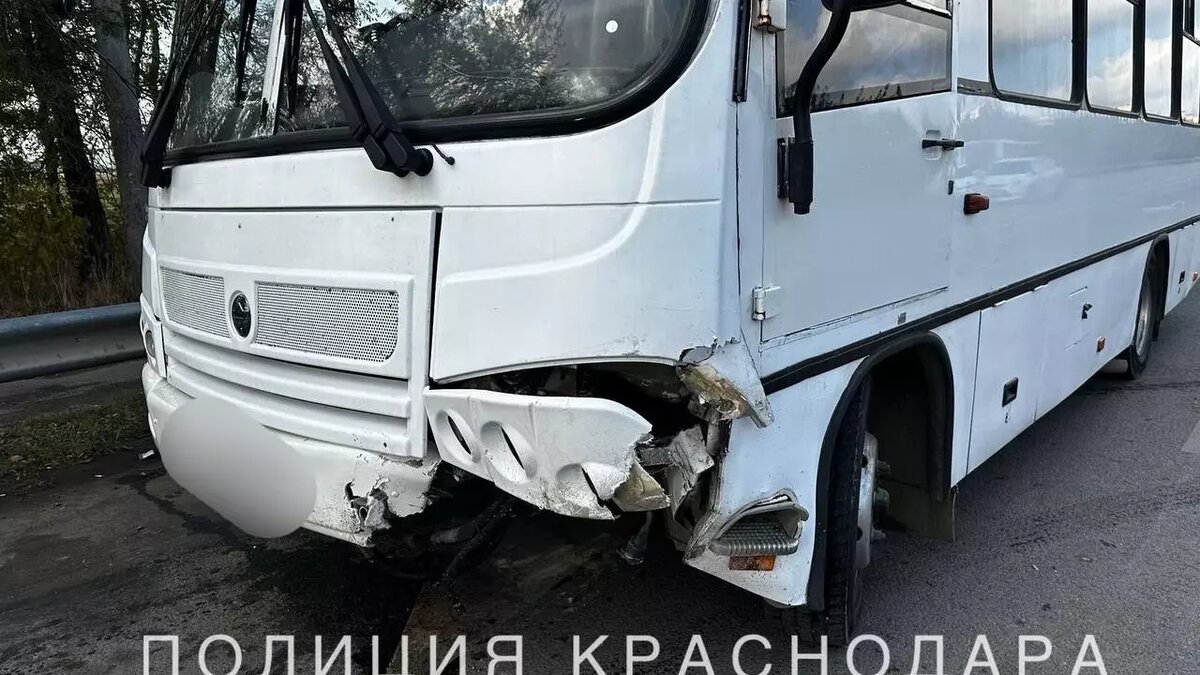     Автор: ГУ МВД по Краснодару Источник: https://t.me/mvd23krasnodar/4317