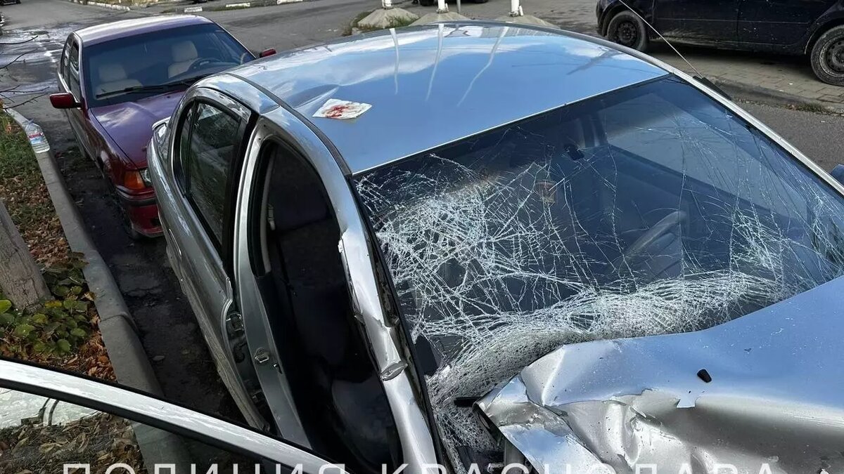     Автор: ГУ МВД по Краснодару Источник: https://t.me/mvd23krasnodar/4317