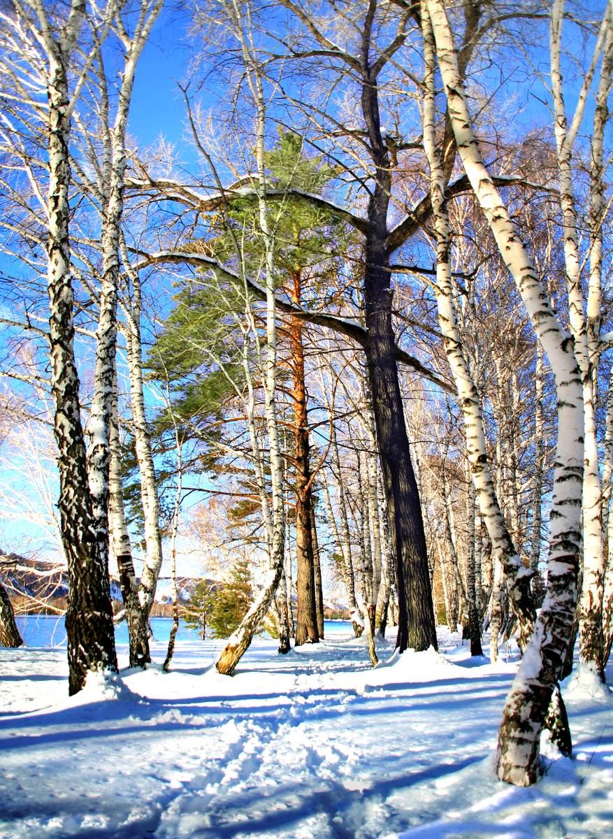 Фотография, стихотворение Василия Глуцкого