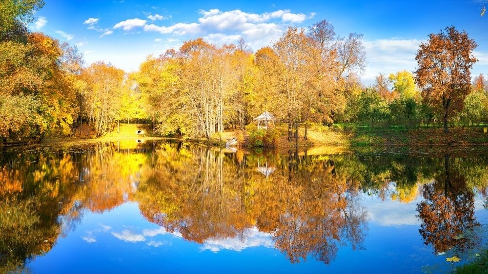 Вот она какая, болдинская осень