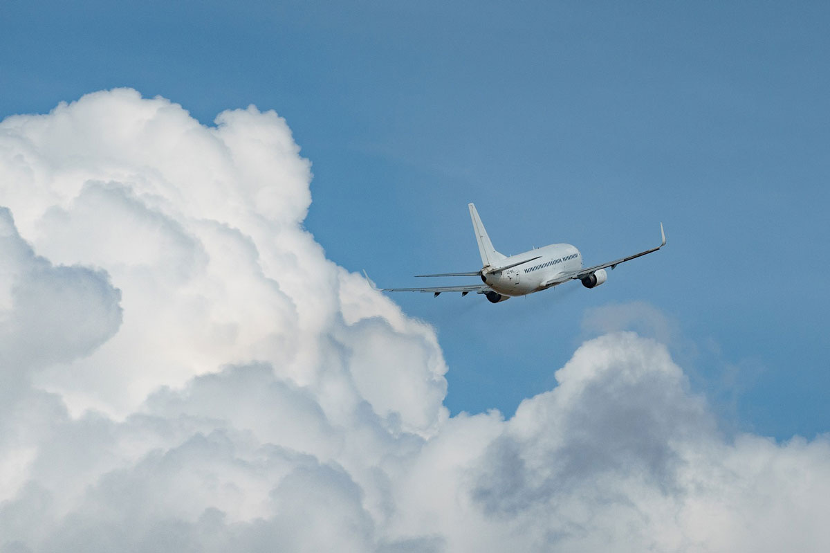    Фото: Anestiev / Pixabay.com