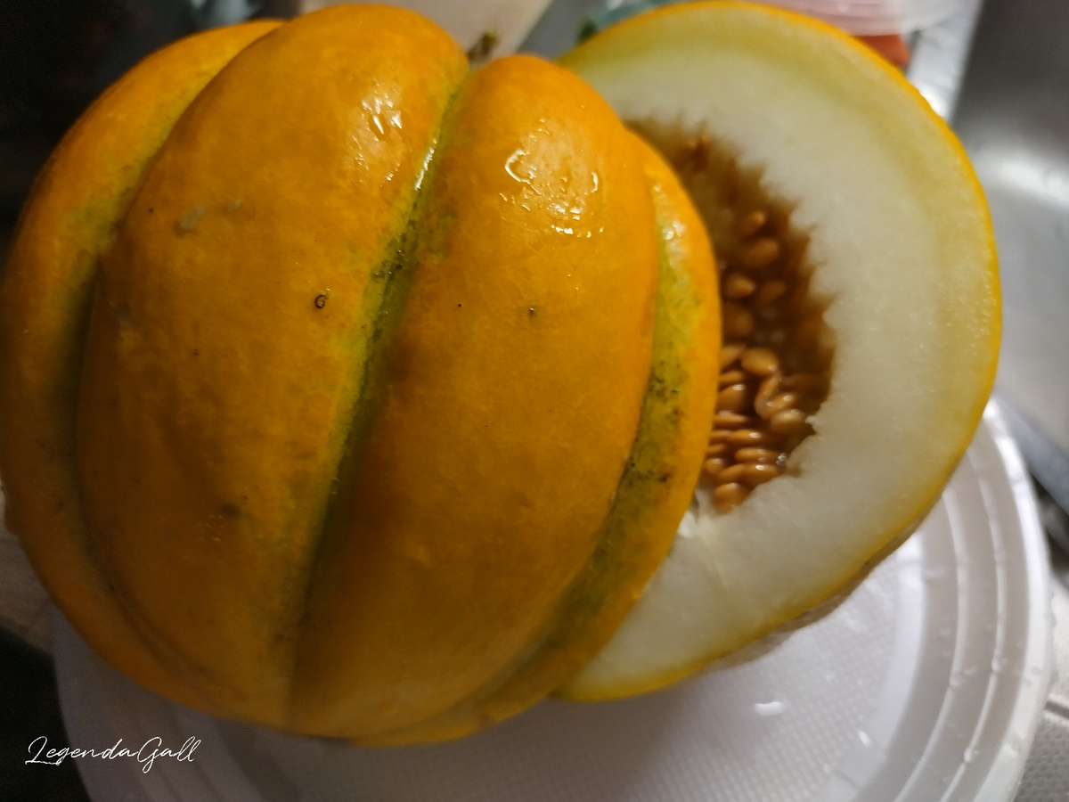 Эфиопка мелкая