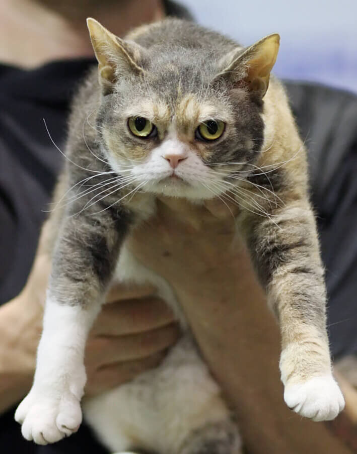 Фото из интернета 