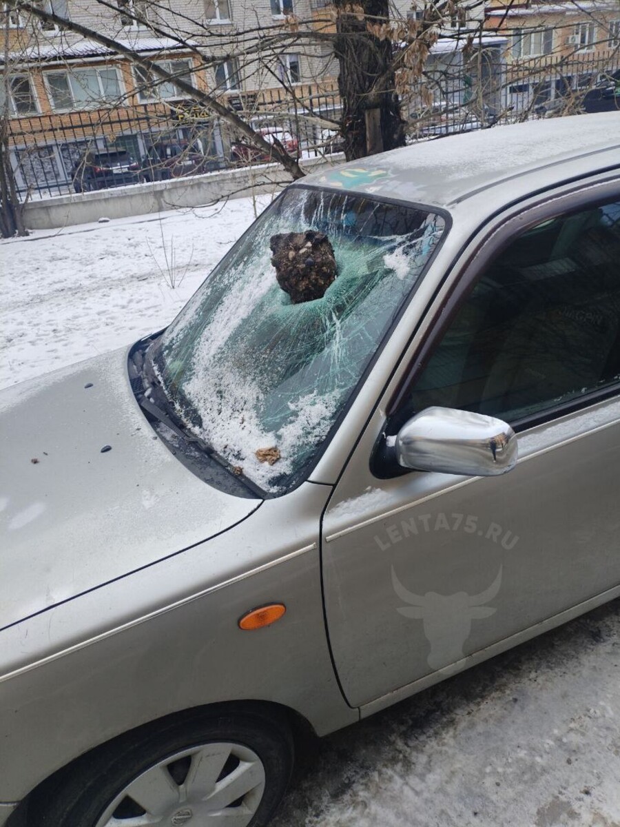    Фото: Очевидец   📷   Фото: Очевидец