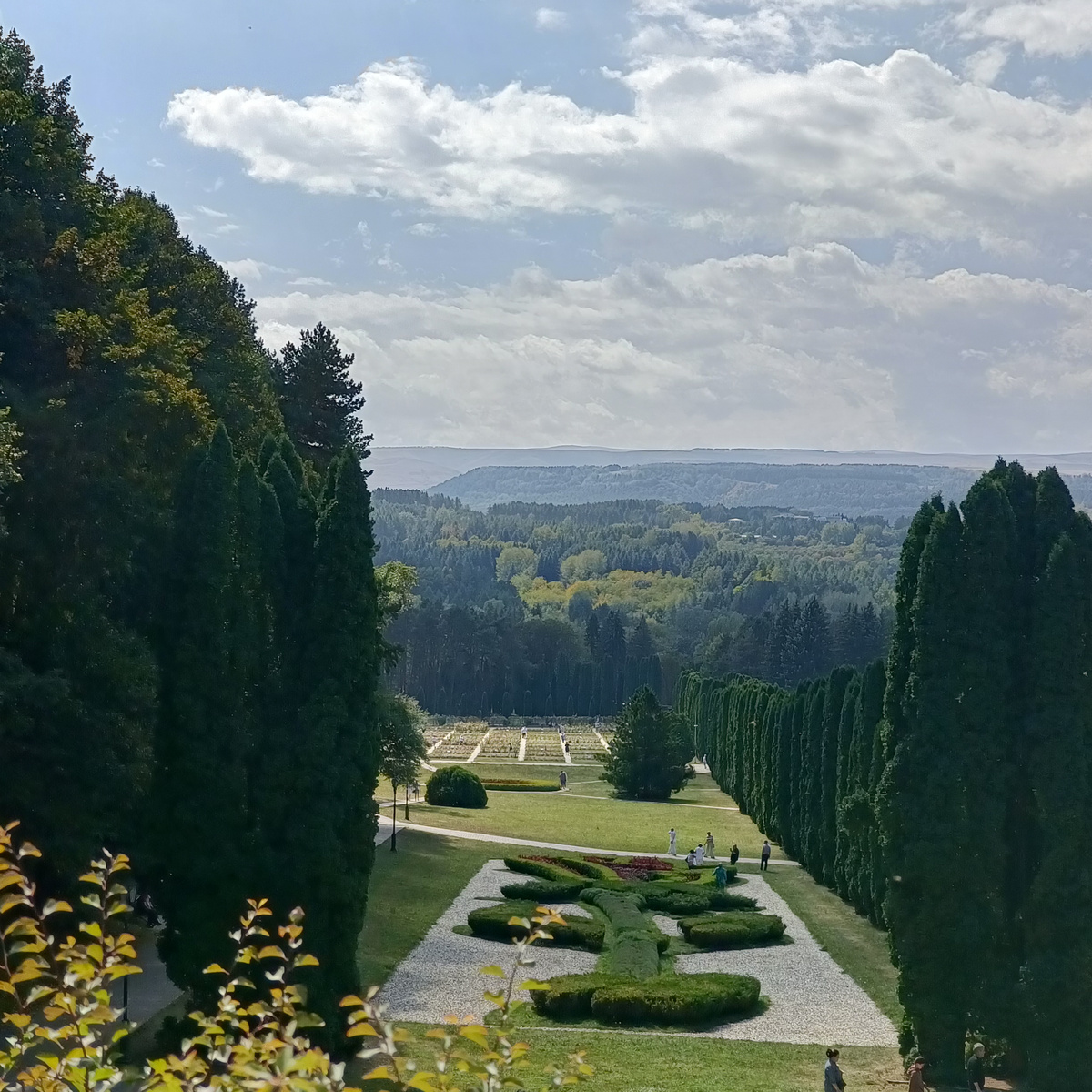 Не огурцы, но тоже зелёное😂