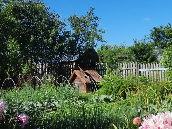 Чтобы никто не догадался. 15 фото-идей, как замаскировать некрасивый объект на участке