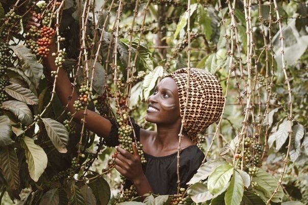 Источник фото: яндекс